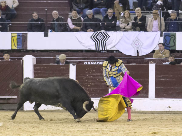 La barbilla encajada