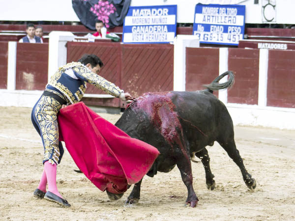 En todo lo alto