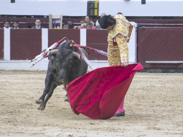 Al galope