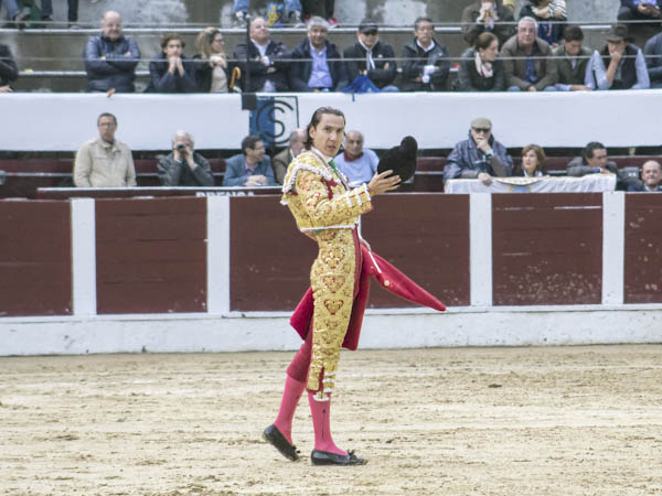Brindis al cotarro
