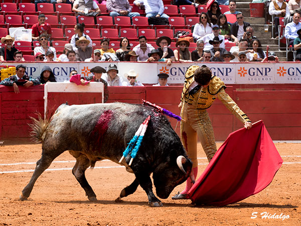 César Fernández 