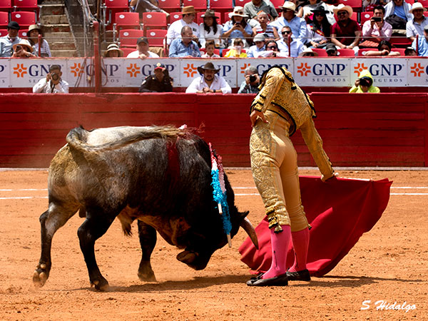 Bajando el engaño
