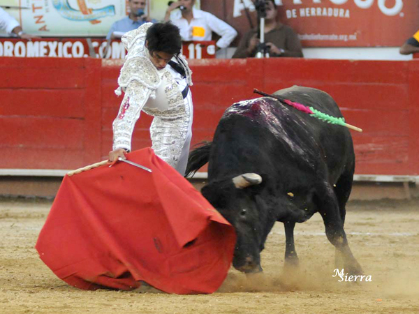 Embebido en la muleta