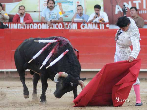 Tratando de acallar la bronca