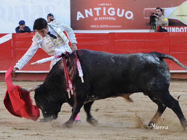 El caleño, esorzado