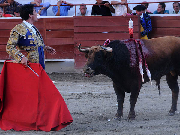 Mirando al tendido