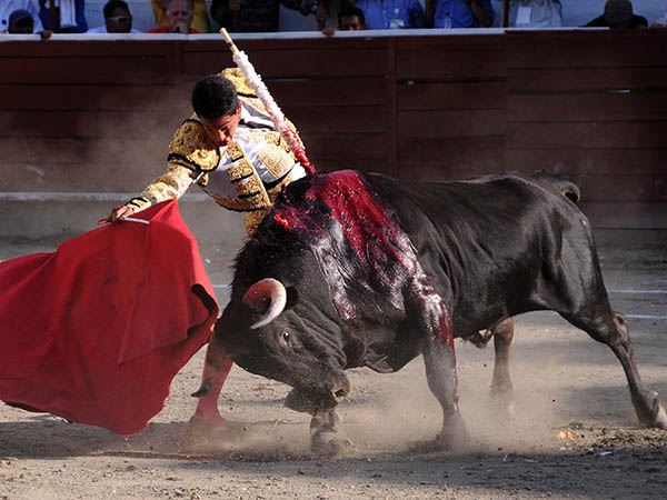 Calidad y recorrido
