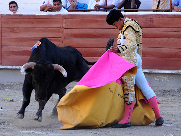 Paco Perlaza a la verónica