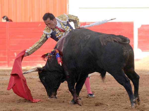 Codicioso